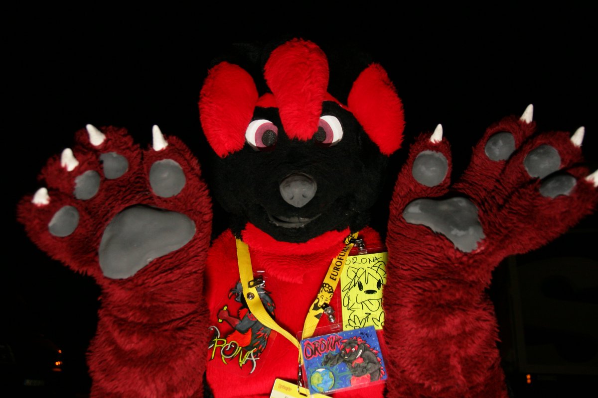 Eurofurence 15, Fursuiters alone