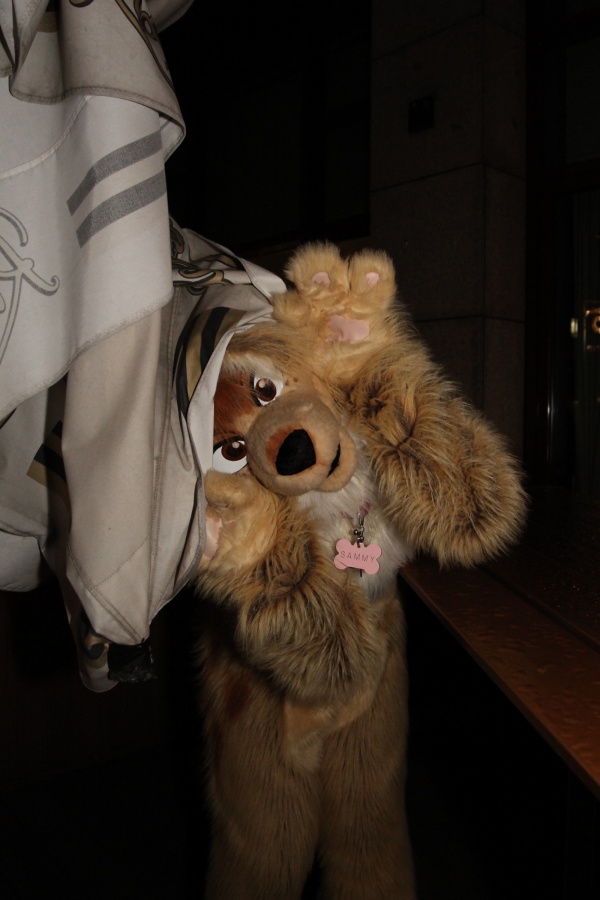 Eurofurence 16, Fursuiters