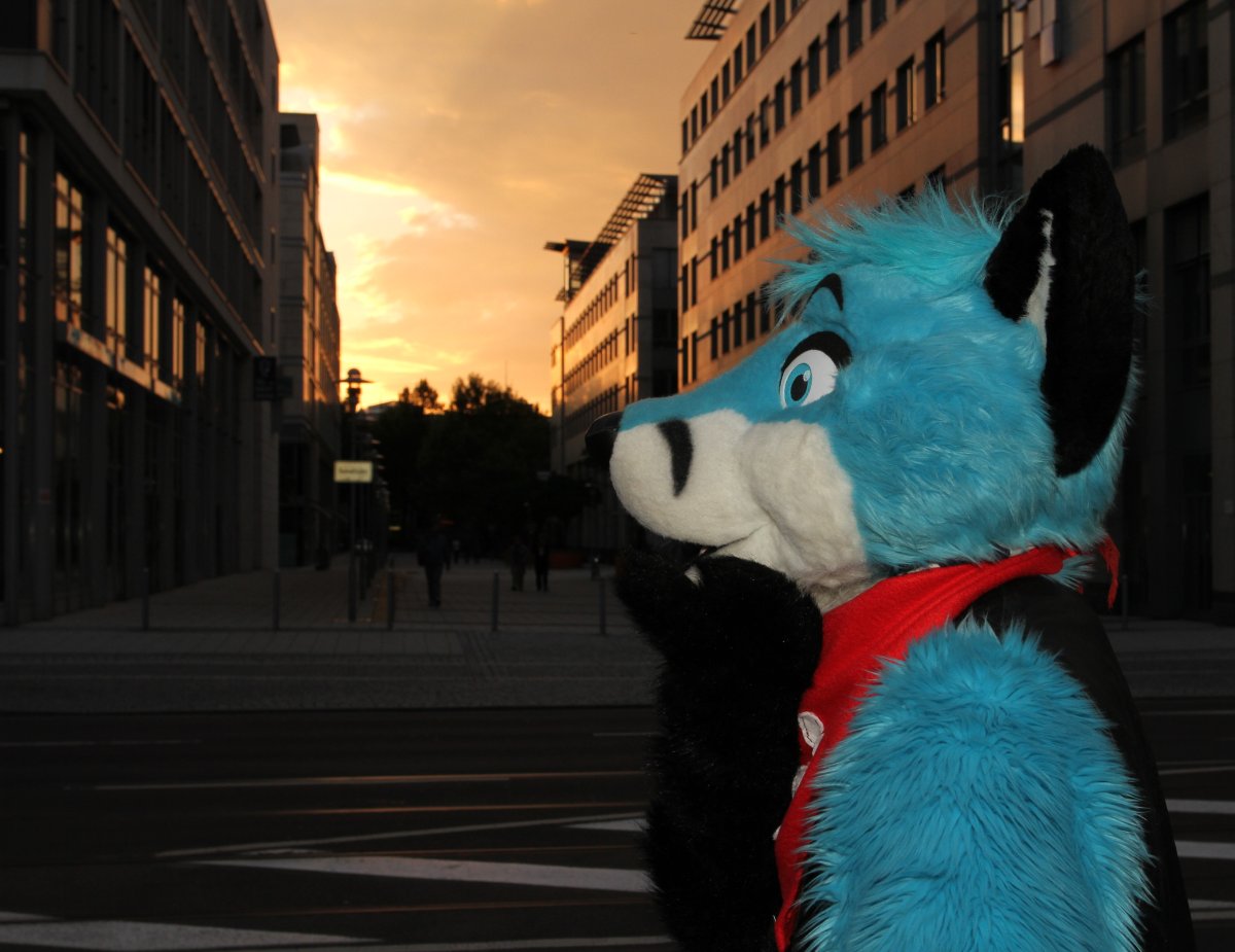 Eurofurence 16, Fursuiters