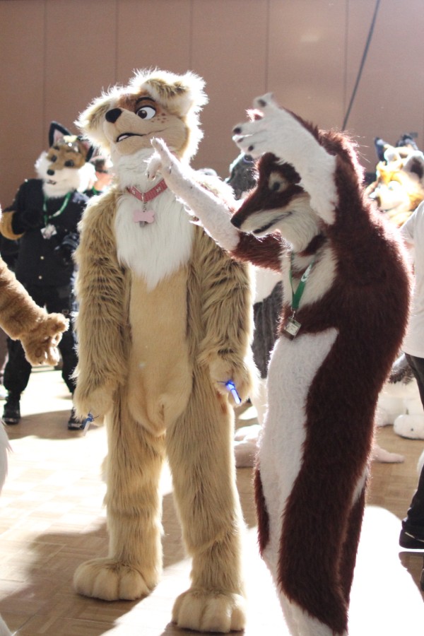 Eurofurence 16, Dancing