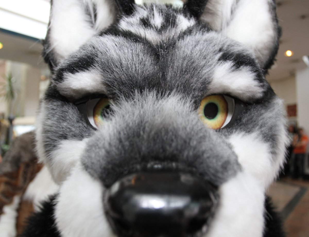 Eurofurence 16, Fursuit parade