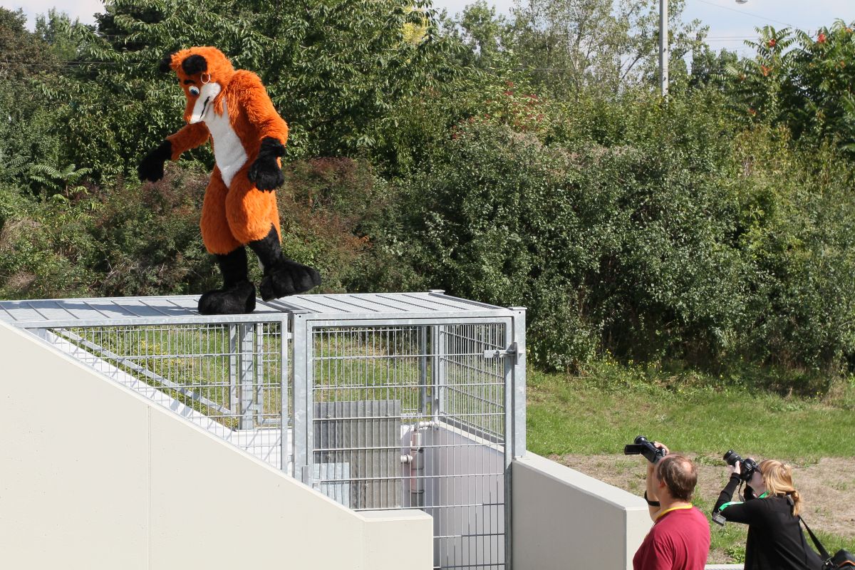 Eurofurence 16