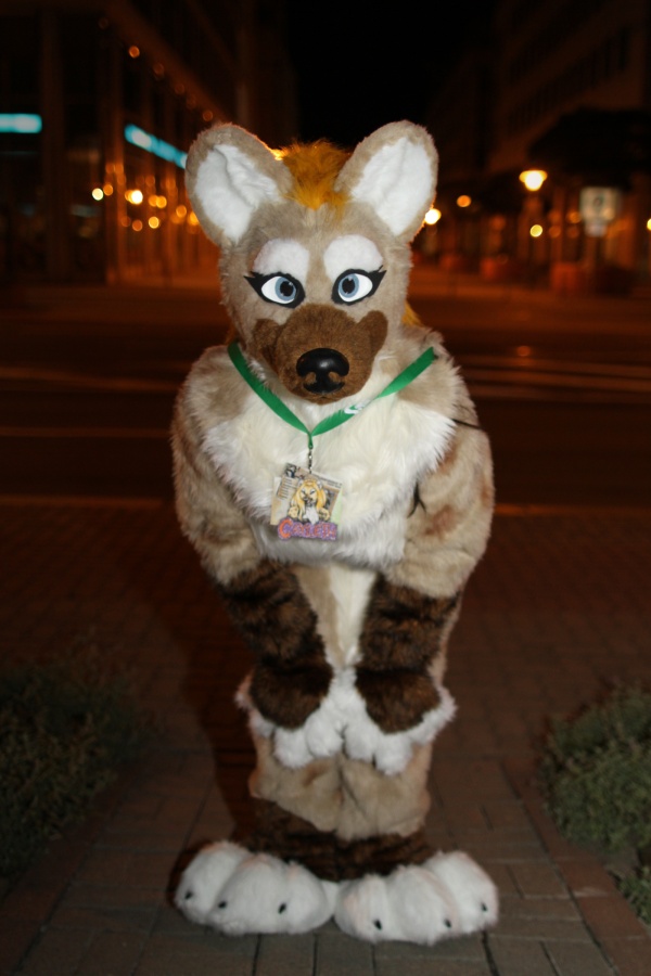 Eurofurence 17