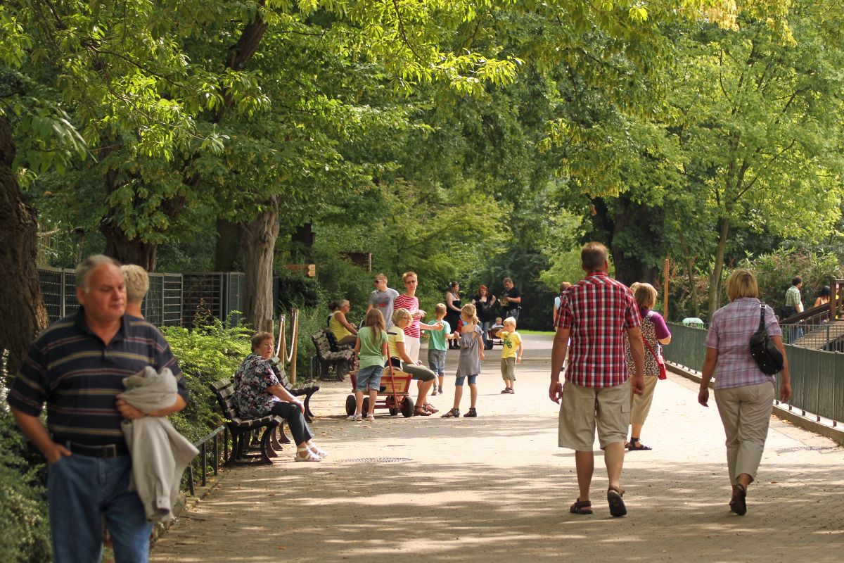 Eurofurence 17, Magdeburg  zoo