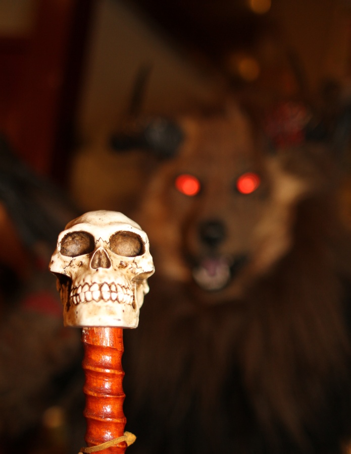 Eurofurence 17, Fursuits