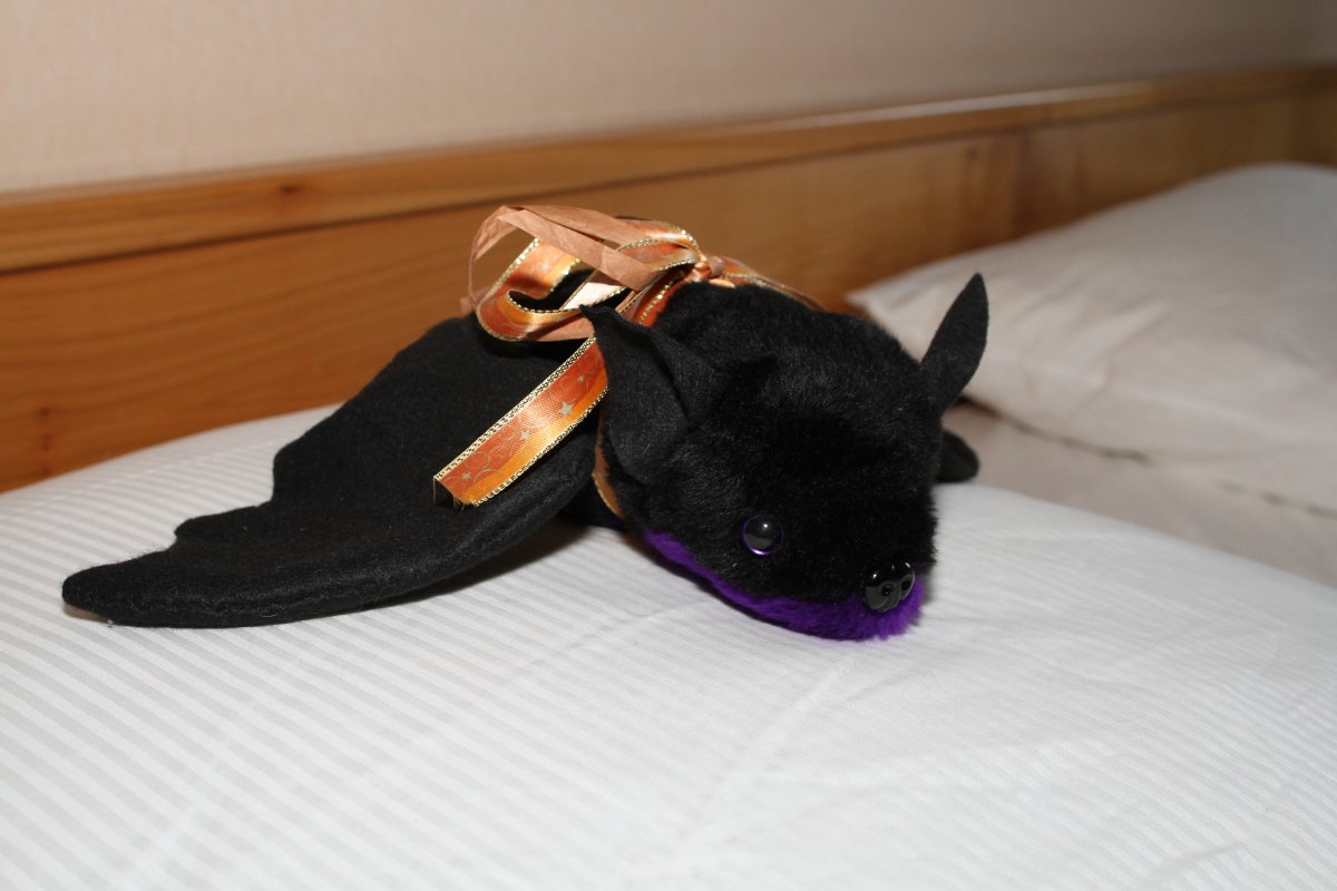Eurofurence 17, Other photos