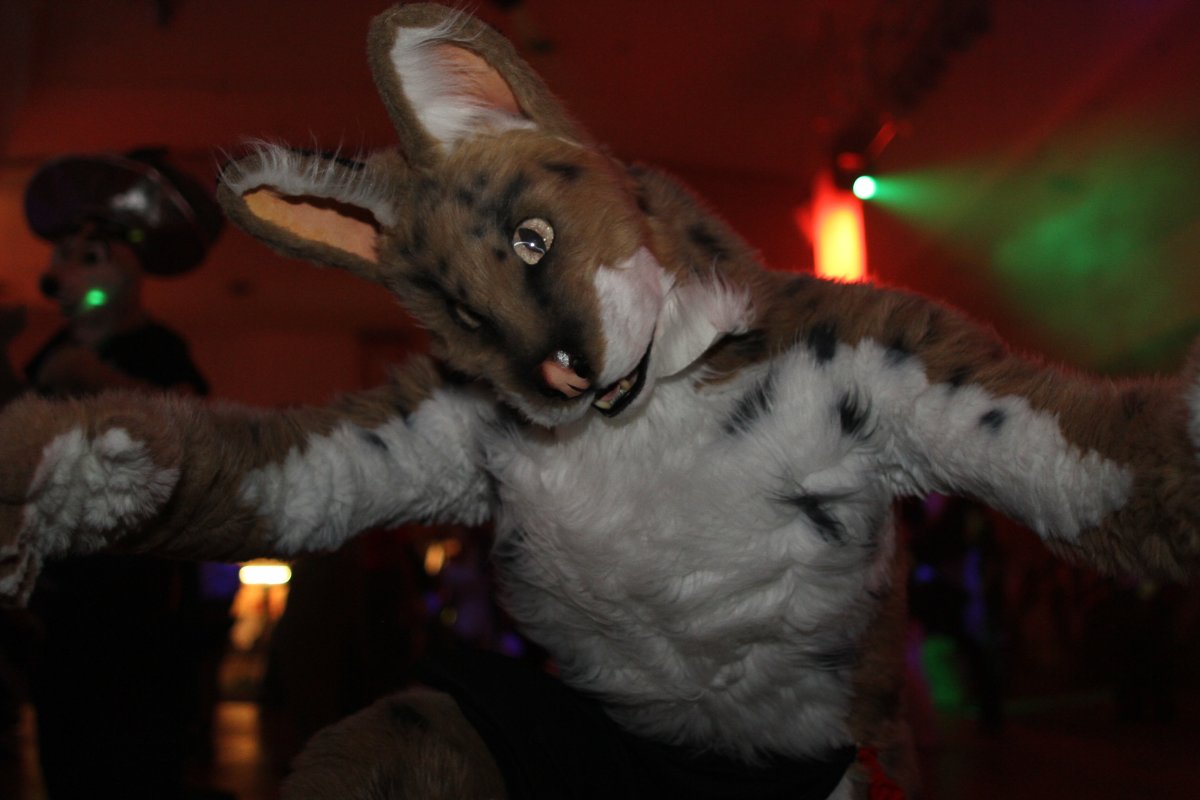 Eurofurence 17, Dances