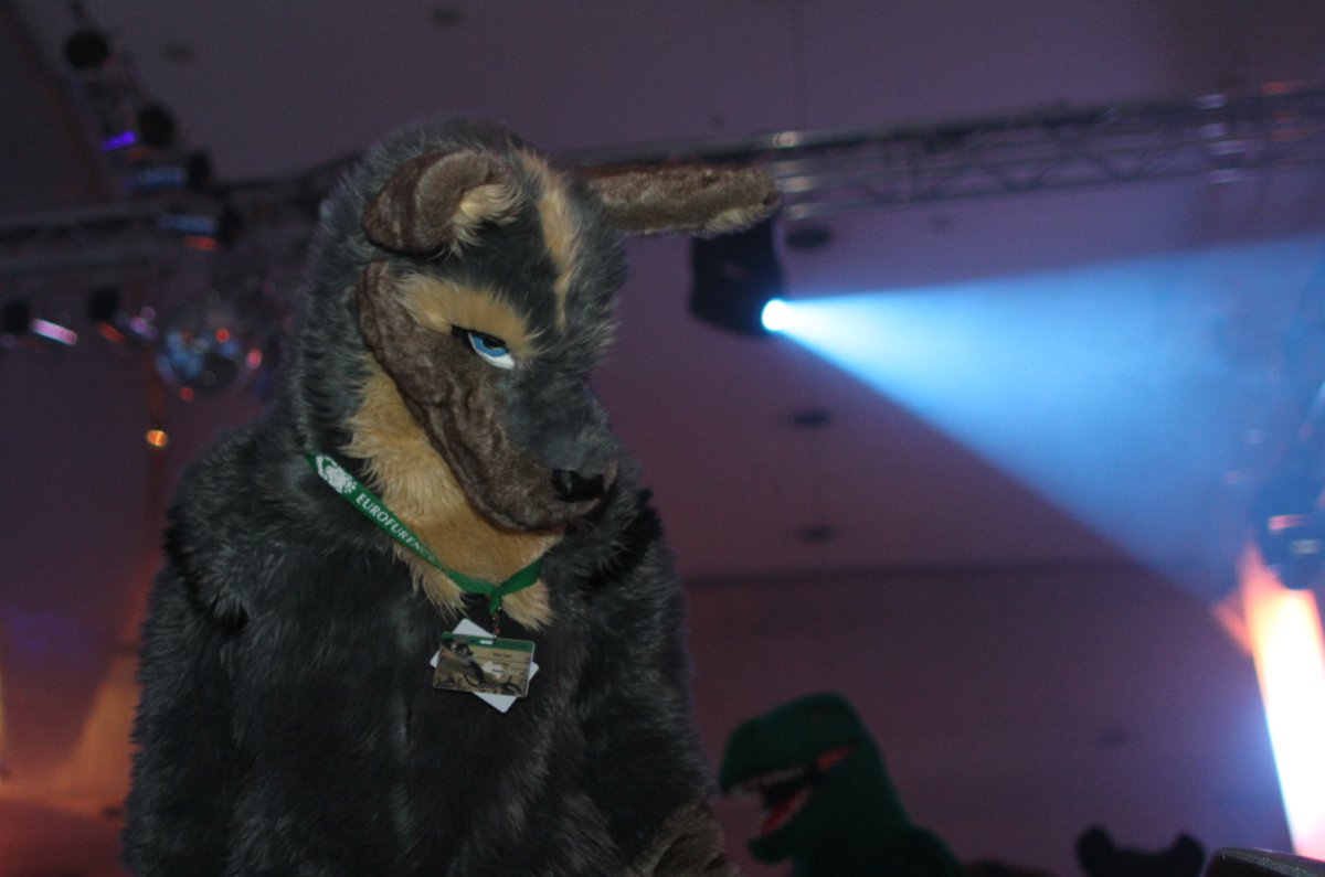 Eurofurence 17