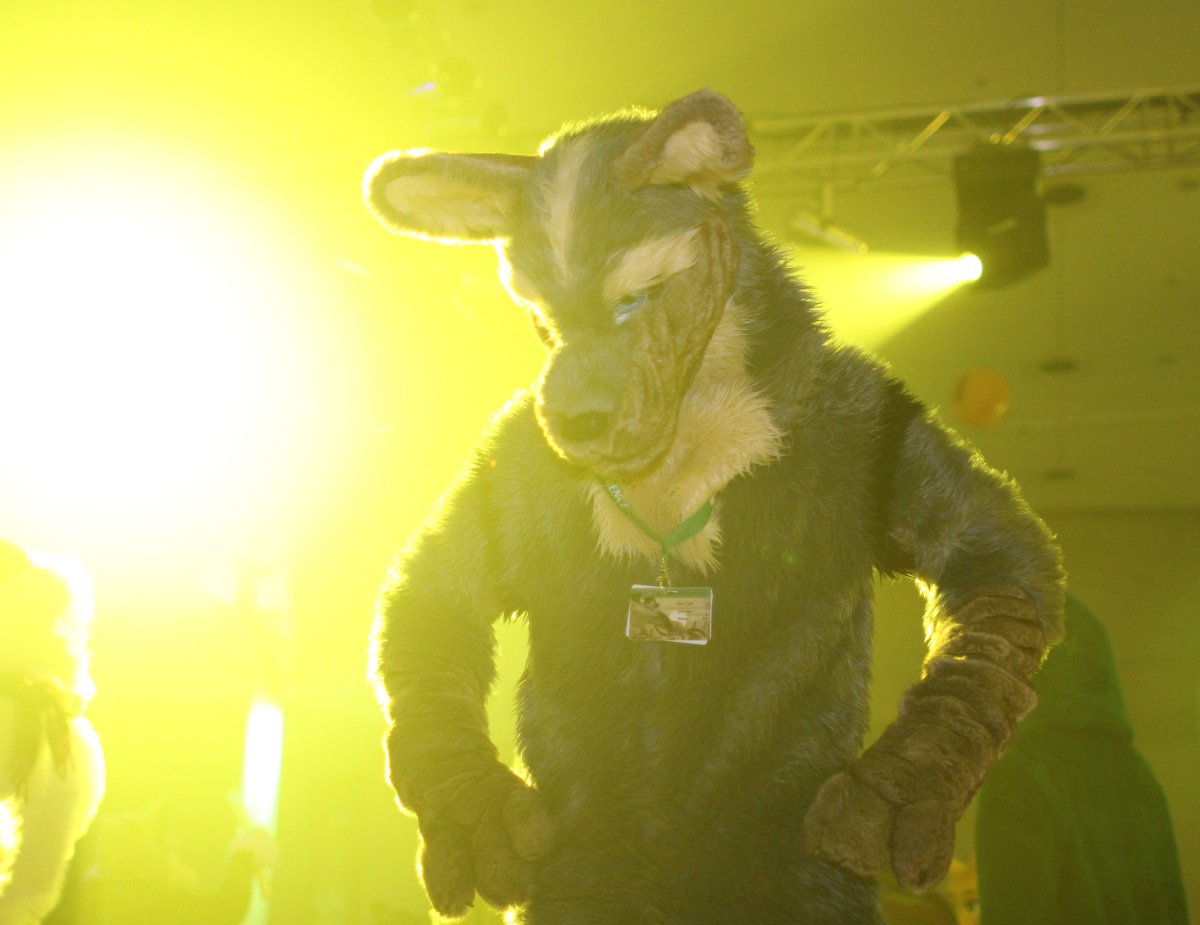 Eurofurence 17, Dances