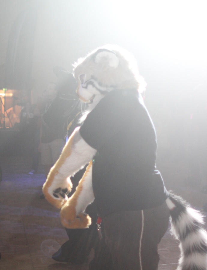 Eurofurence 17, Dances