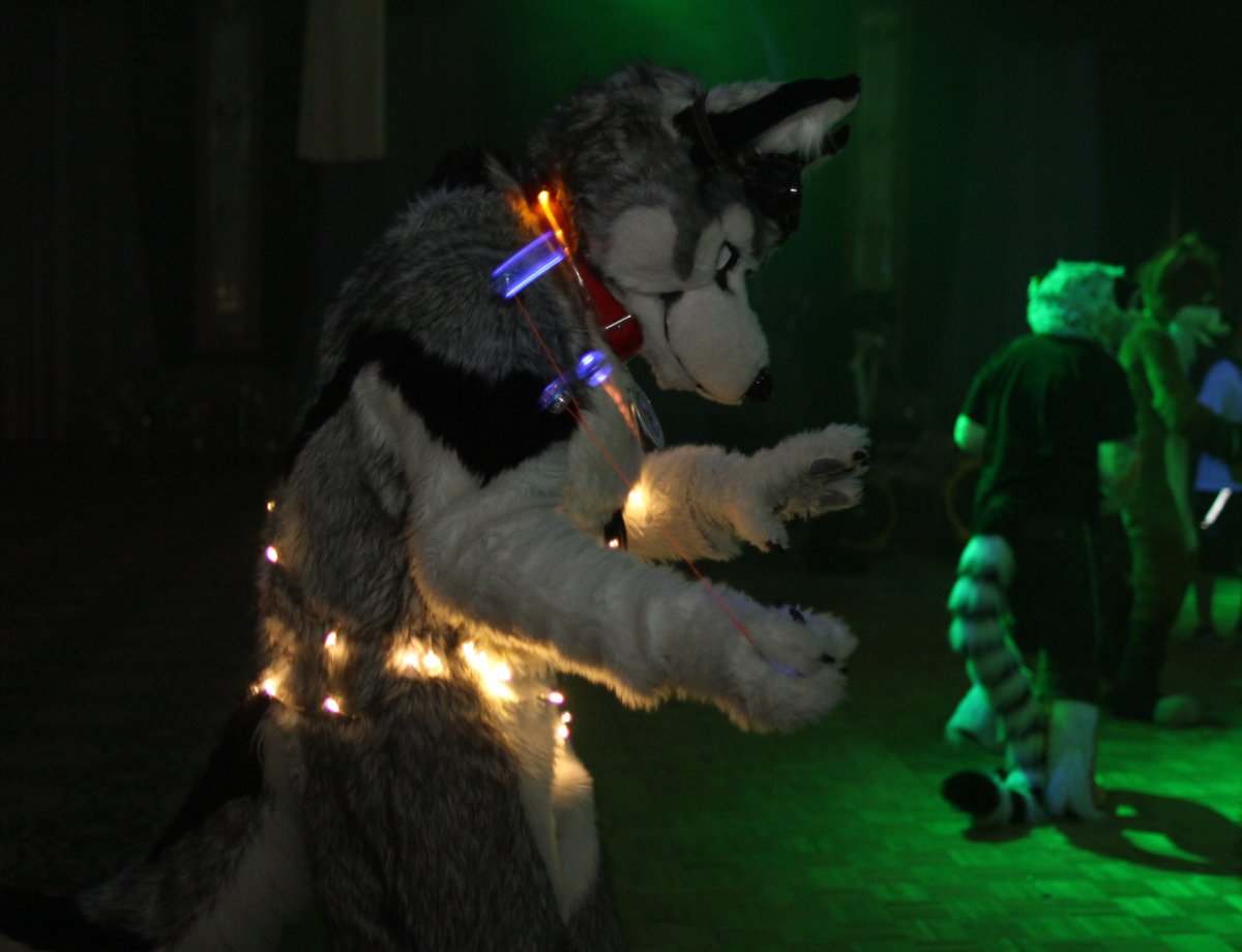 Eurofurence 17, Dances
