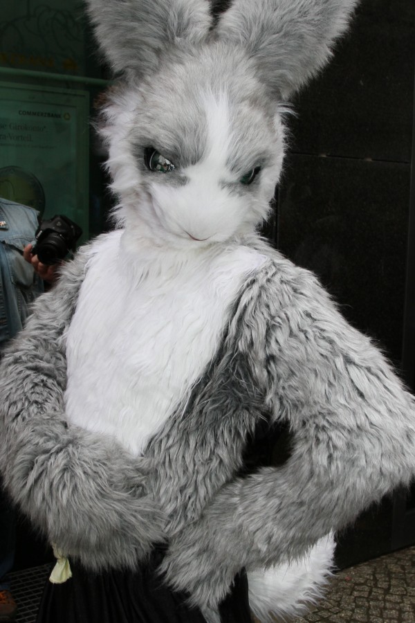 Eurofurence 17, Fursuit parade