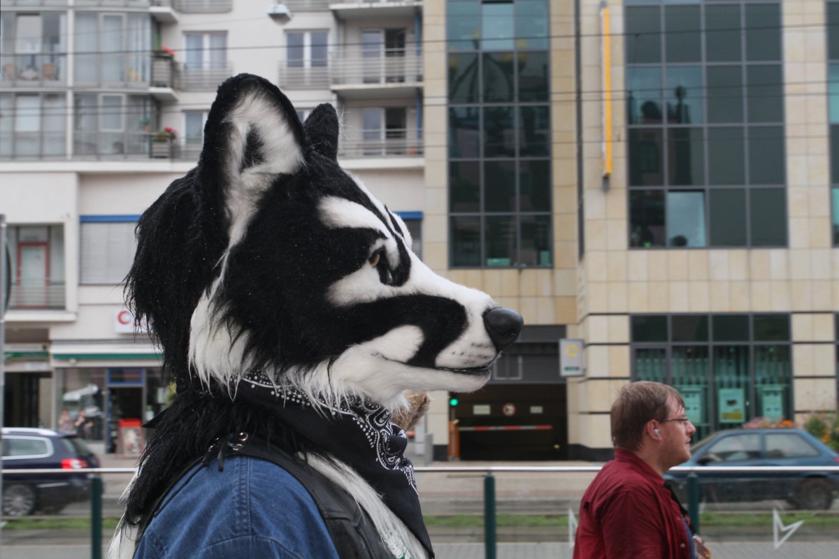 Eurofurence 17, Fursuit parade