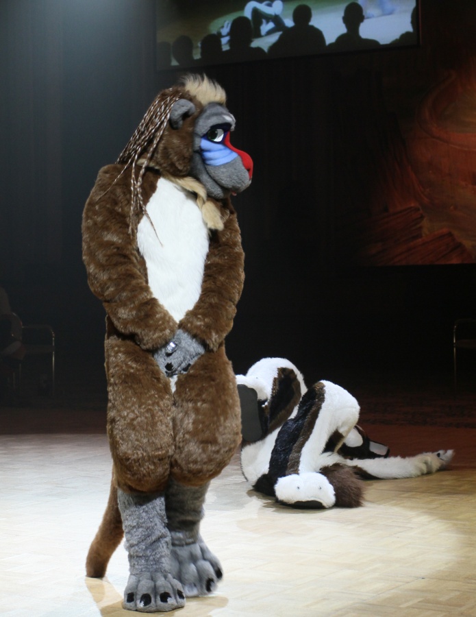 Eurofurence 17, Fursuits