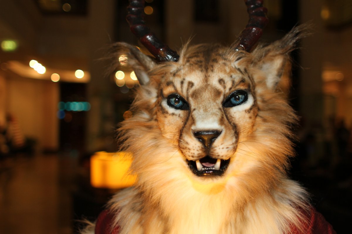 Eurofurence 17, Fursuits