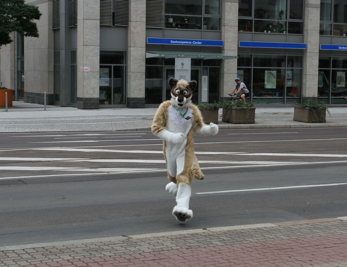 Eurofurence 17, Fursuits