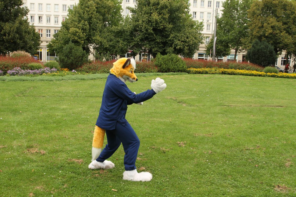 Eurofurence 17, Fursuit walk