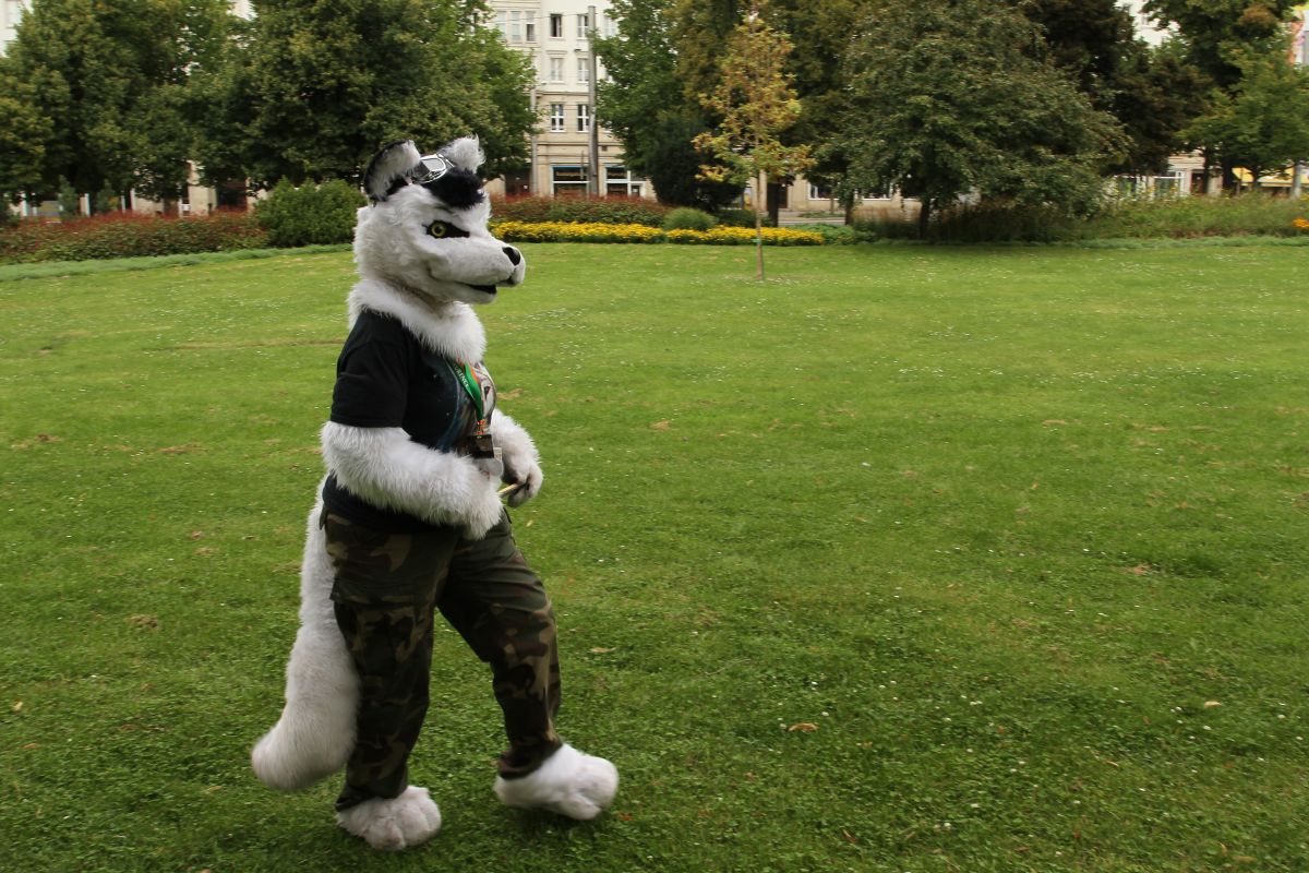 Eurofurence 17, Fursuit walk