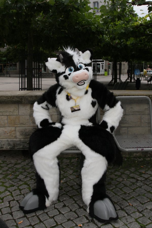 Eurofurence 17, Fursuit walk