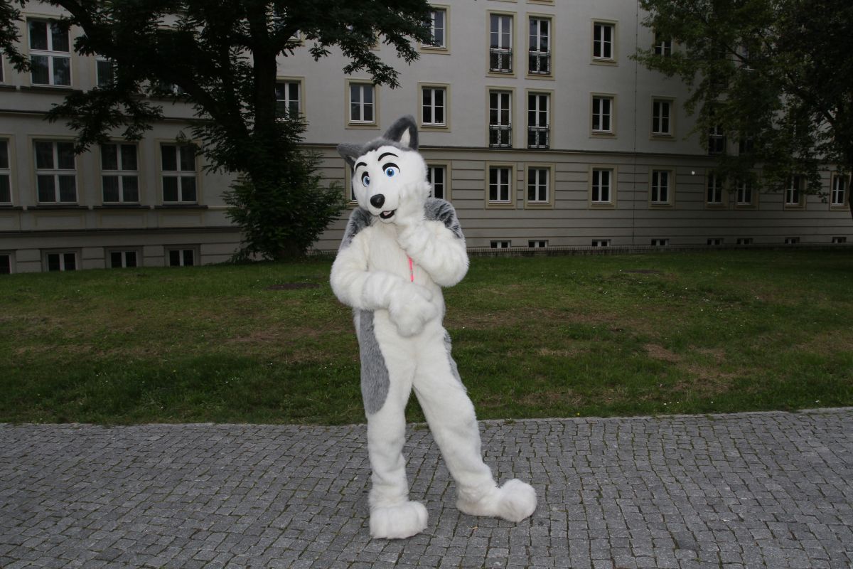Eurofurence 17, Fursuit walk