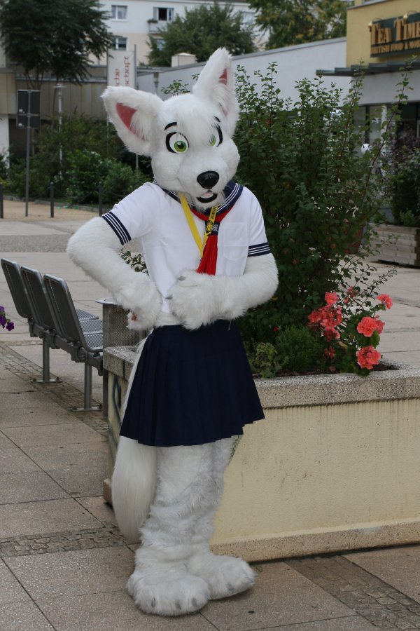 Eurofurence 17, Fursuit walk