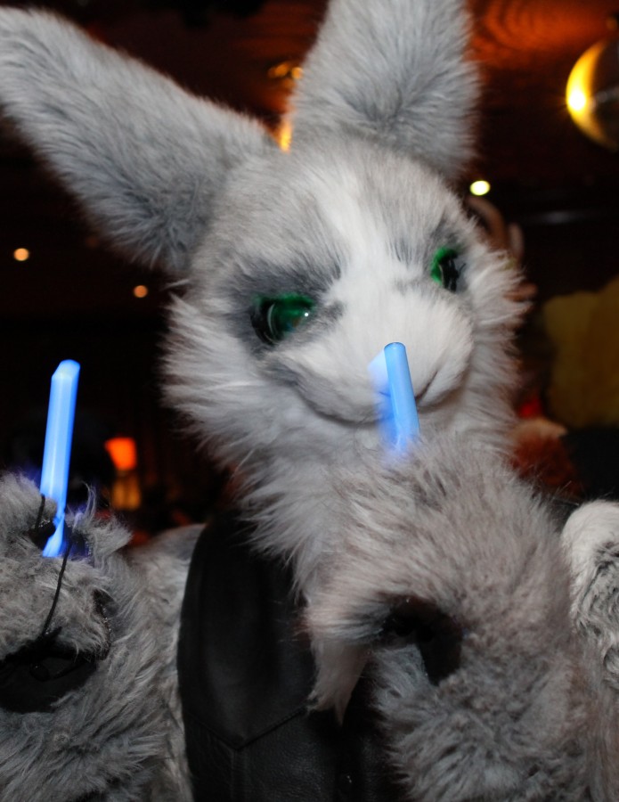 Eurofurence 17, Dances