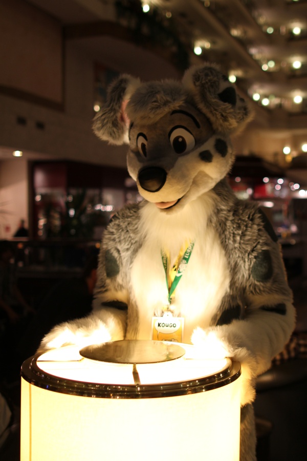 Eurofurence 17, Fursuits