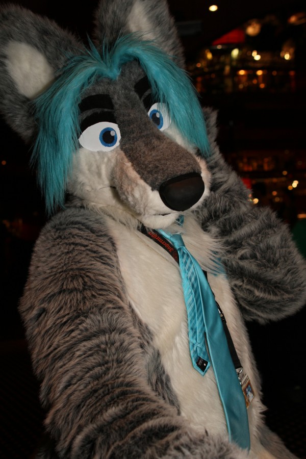Eurofurence 17, Fursuits