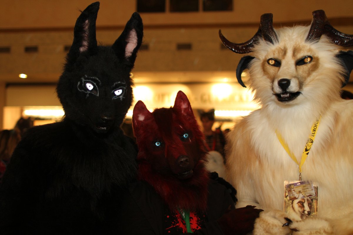 Eurofurence 18, More fursuits