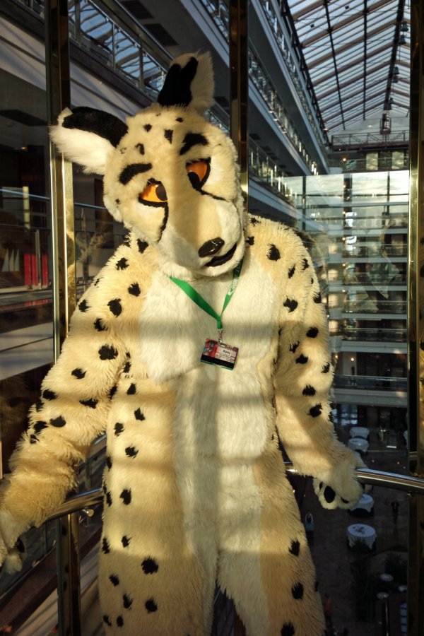 Eurofurence 19, Indoor fursuiting photos