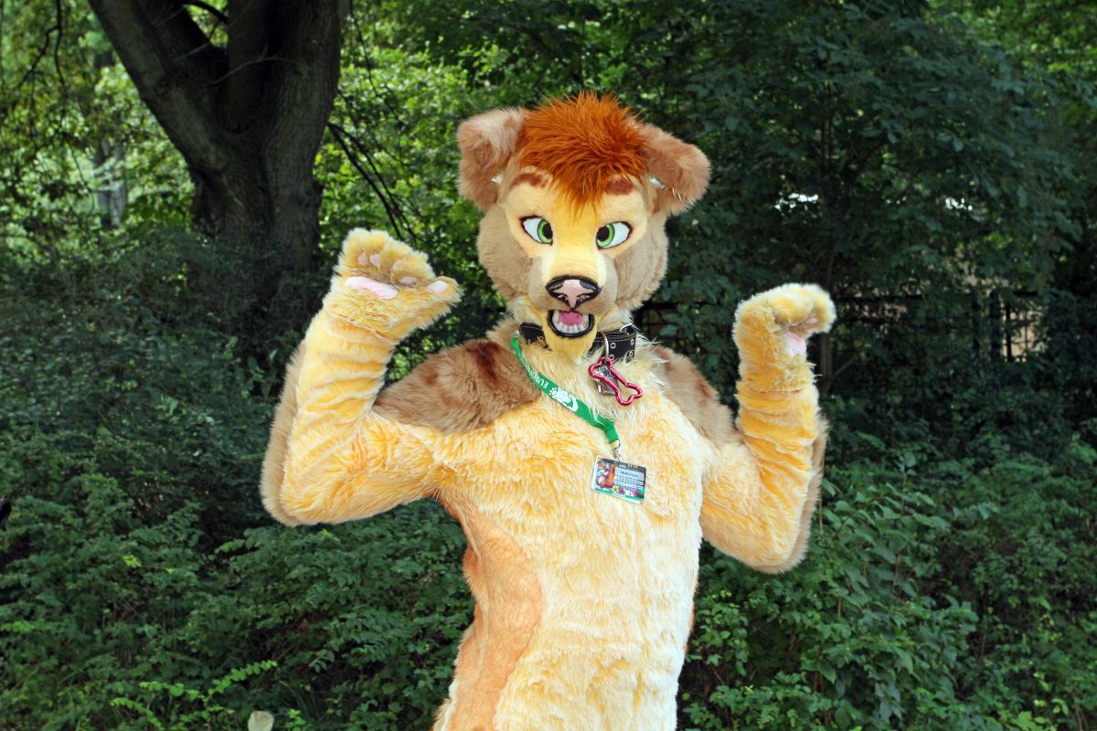 Eurofurence 19, Outdoor fursuiting photos