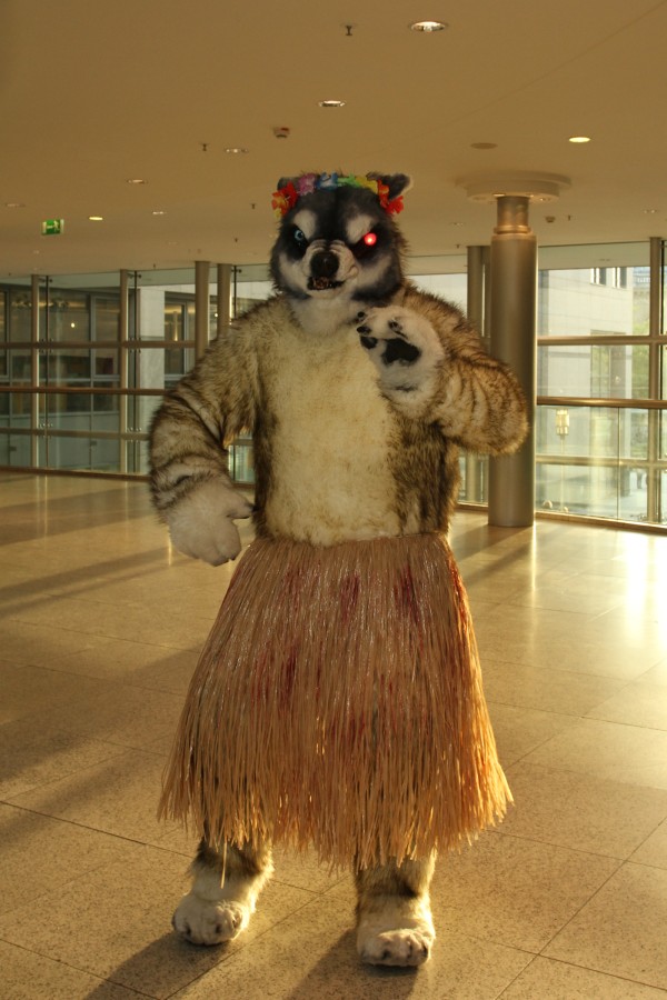 Eurofurence 19, Indoor fursuiting photos