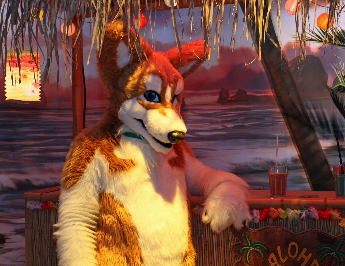 Eurofurence 19, Indoor fursuiting photos