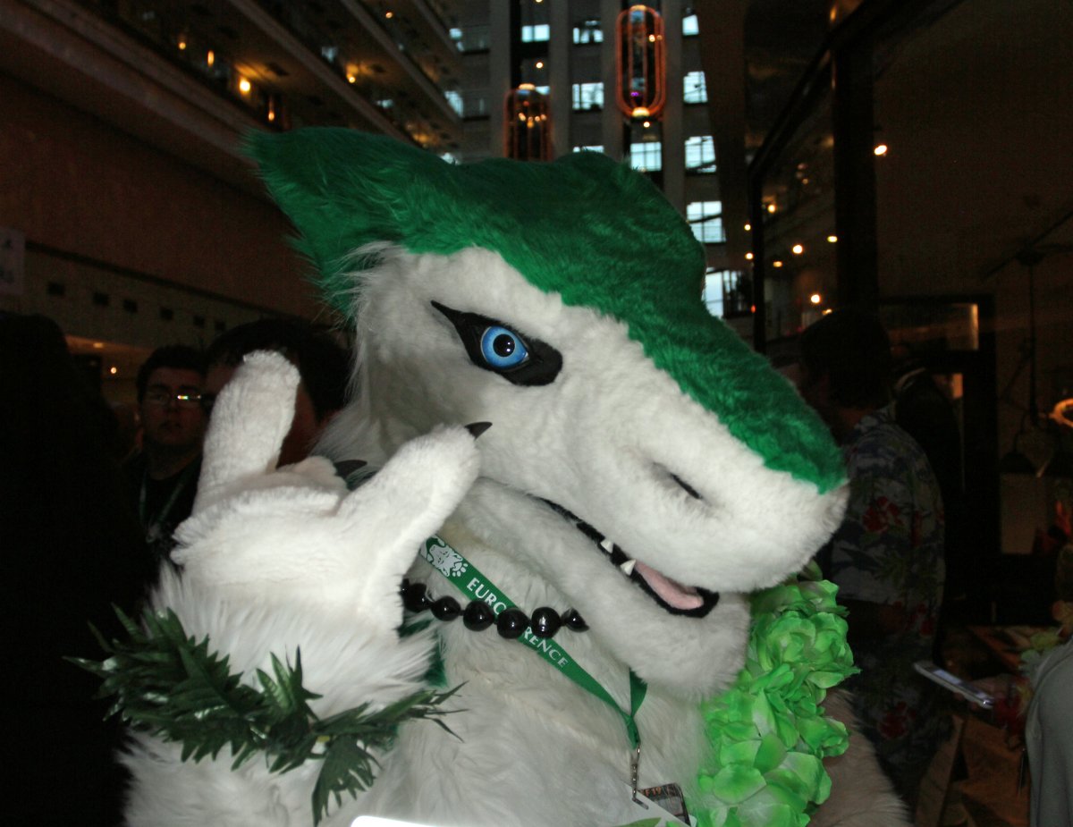 Eurofurence 19, Indoor fursuiting photos
