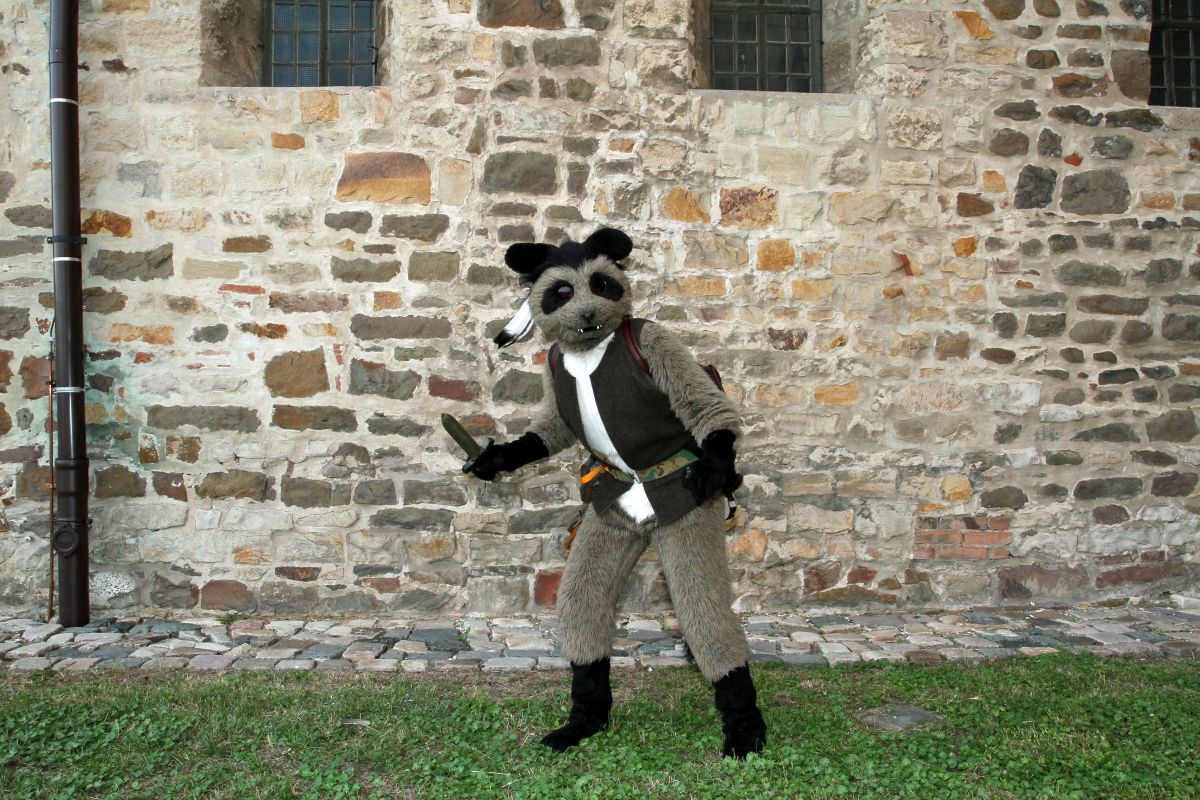 Eurofurence 19, Outdoor fursuiting photos