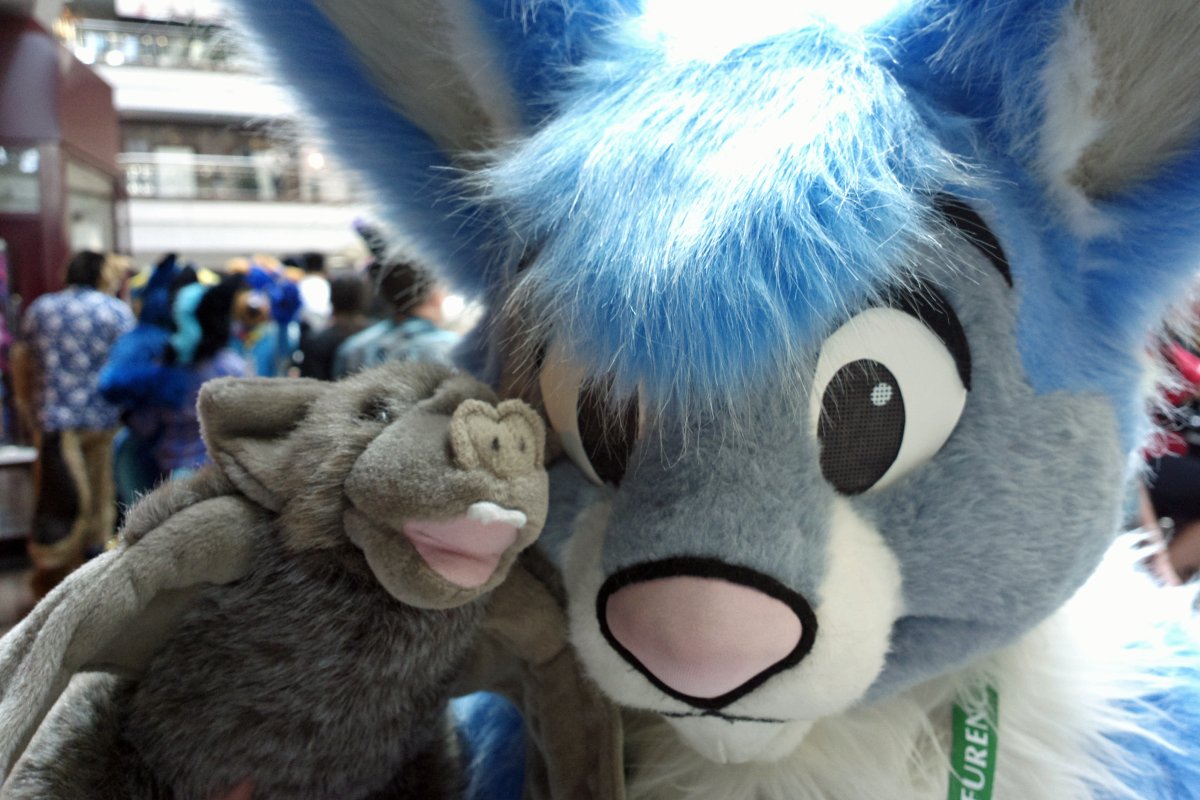 Eurofurence 19, Other photos