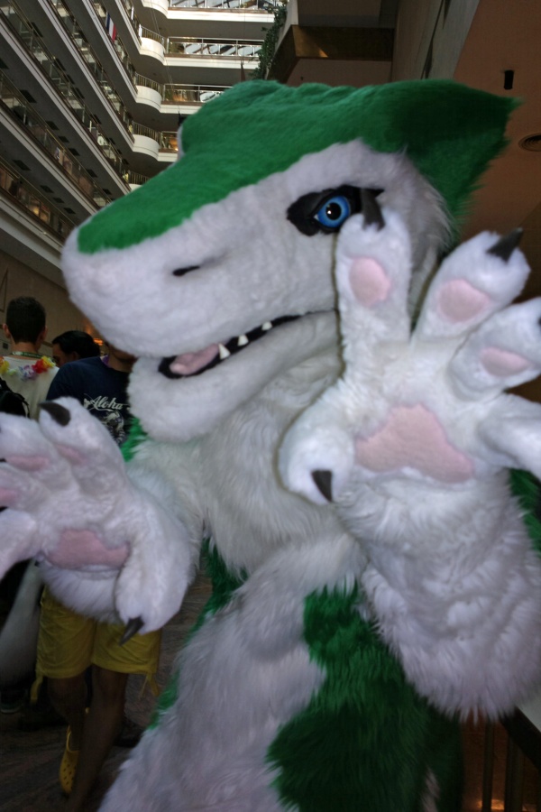 Eurofurence 19, Indoor fursuiting photos