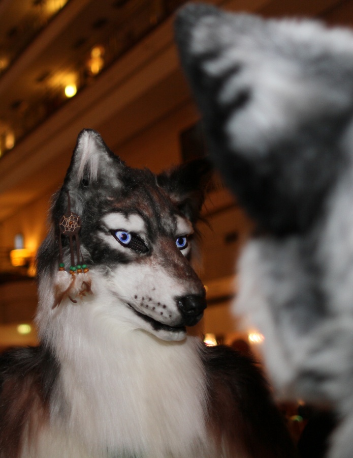 Eurofurence 19, Indoor fursuiting photos