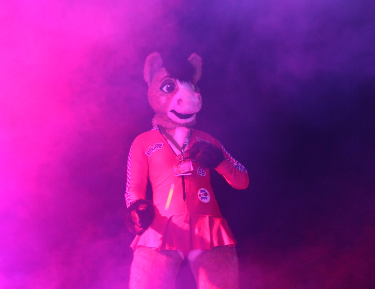 Eurofurence 19, Dances