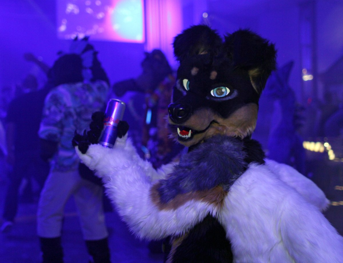 Eurofurence 19, Dances