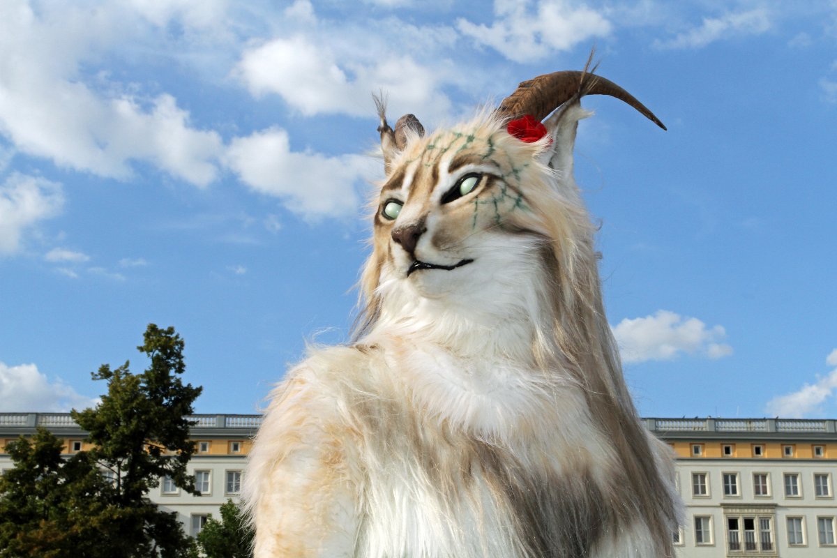 Eurofurence 19, Outdoor fursuiting photos