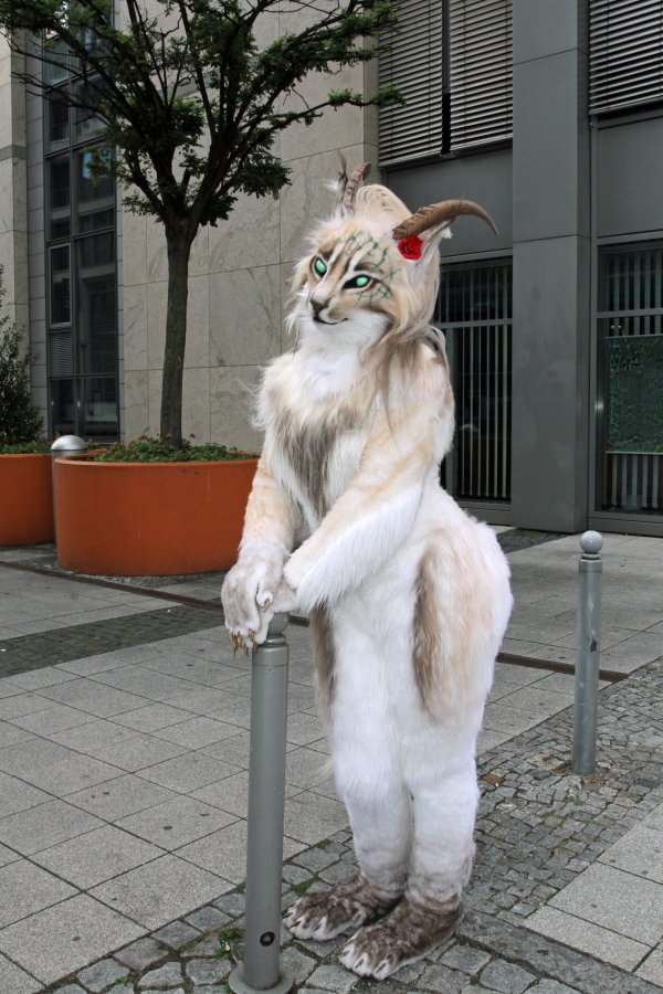 Eurofurence 19, Outdoor fursuiting photos