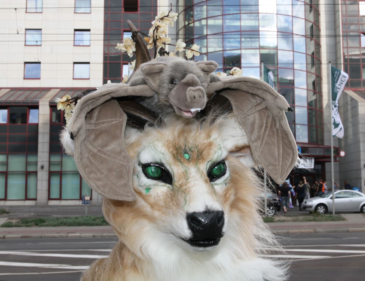 Eurofurence 19, Other photos