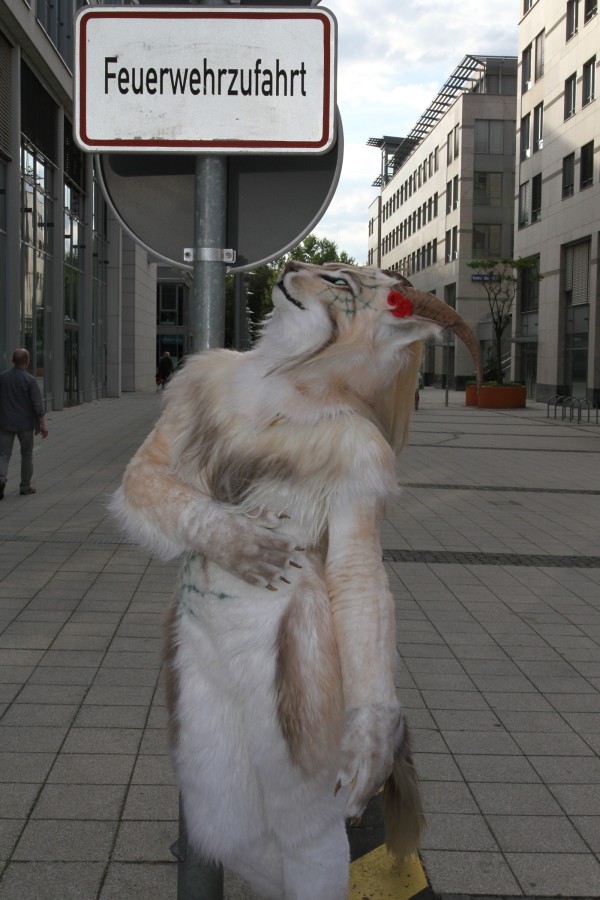 Eurofurence 19, Outdoor fursuiting photos