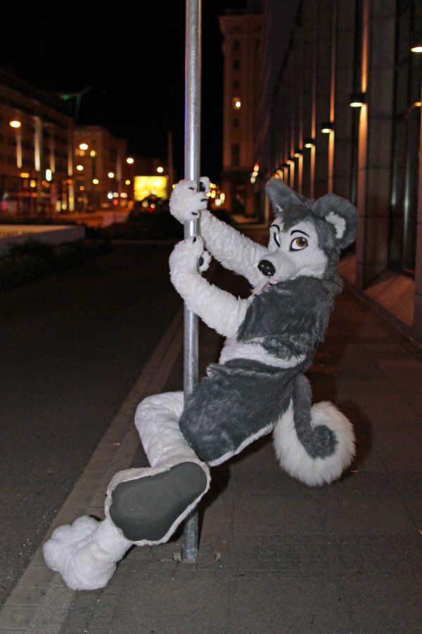 Eurofurence 19, Outdoor fursuiting photos