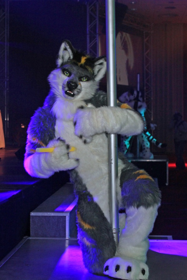 Eurofurence 20