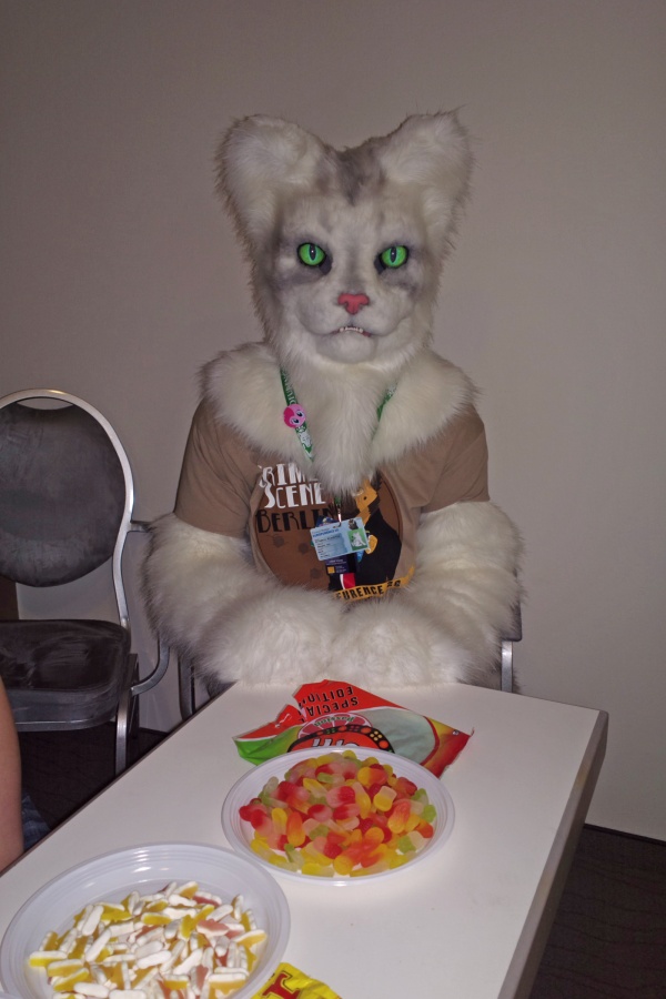 Eurofurence 20