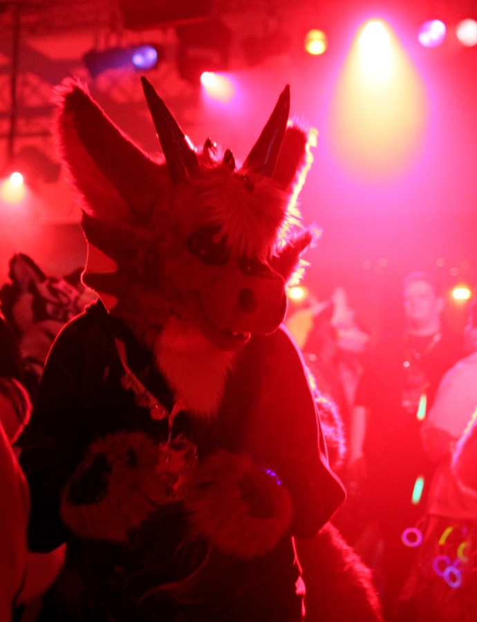 Eurofurence 20