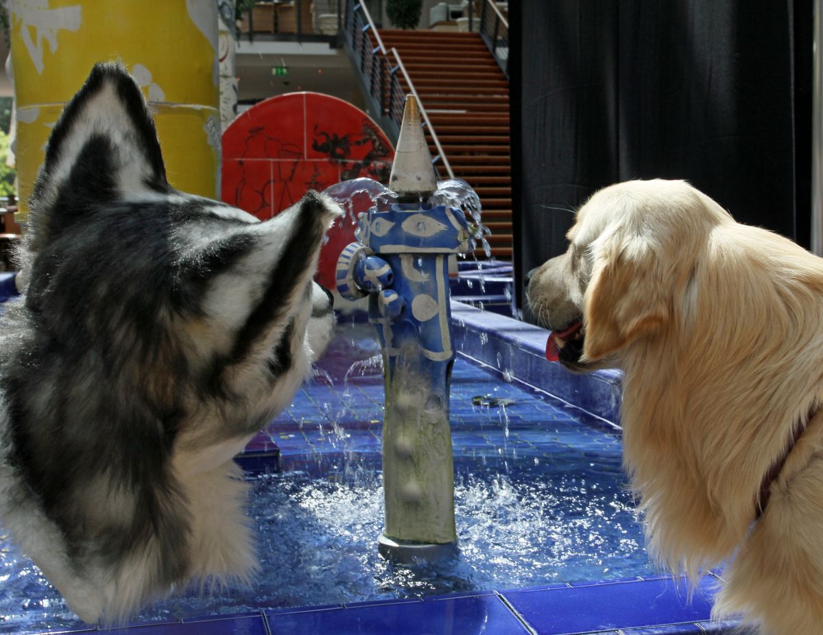 Eurofurence 20, Misc