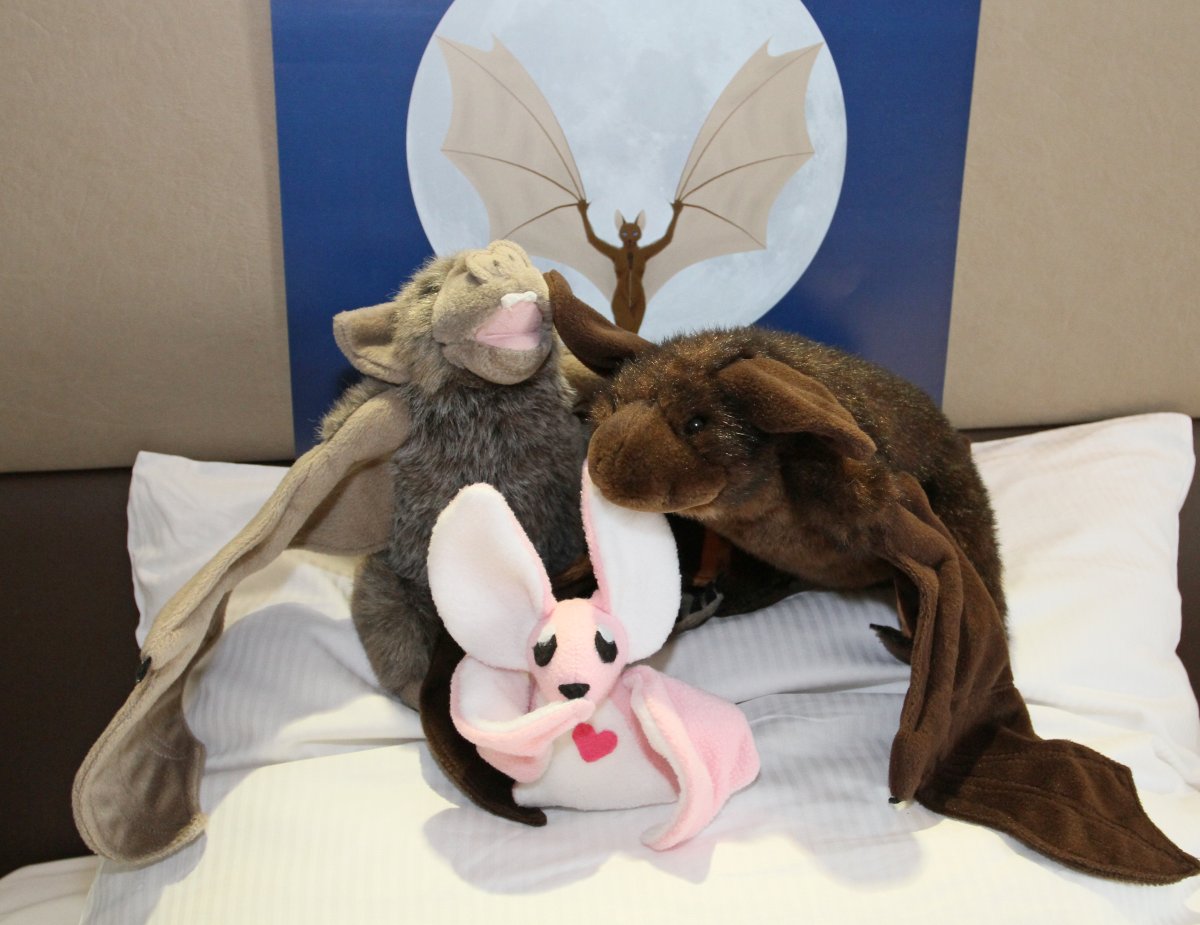 Eurofurence 20, Bats